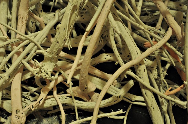 'The Lovely Bones' Drift wood, Acrylic paint, Enamel. Gabriele Stuckemeier