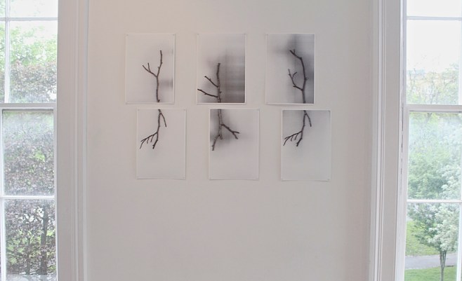 Caroline Inckle_Exhibition detail_RE-Production_Paired twigs_digital prints_2014web.jpg