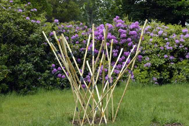 19961414_807793012717461_3643533541154825312_n